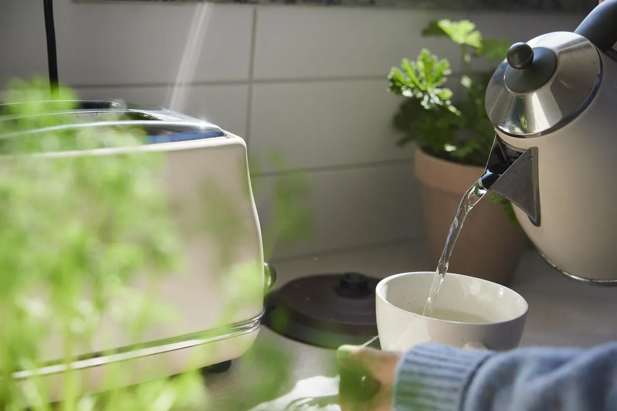 Vatten hälls upp i en kopp te vid ett köksfönster med gröna växter